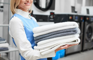 What Benefits Does a Sunshine Coast Laundry Service Offer for Businesses?